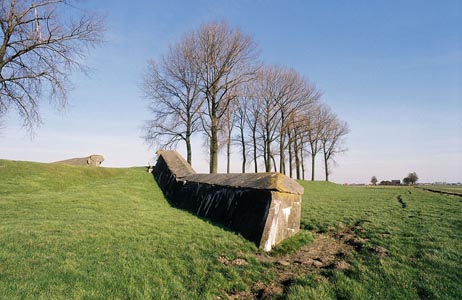 Riesjard Schropp: monument Lage Zwaluwe