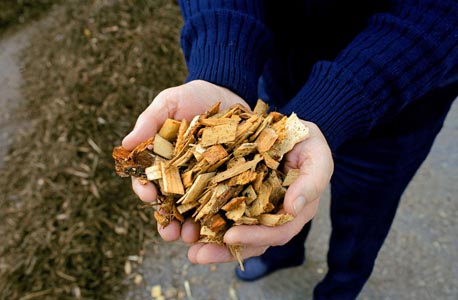 Riesjard Schropp: Cuijk biomassa centrale hout 1