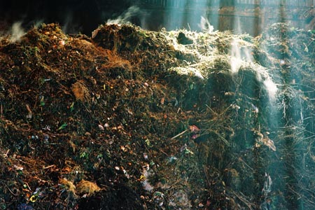 Riesjard Schropp: Wyster afval verbranding 3