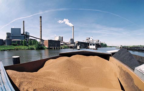 Riesjard Schropp: amer centrale biomassa 2