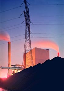 Riesjard Schropp: amer centrale steenkool