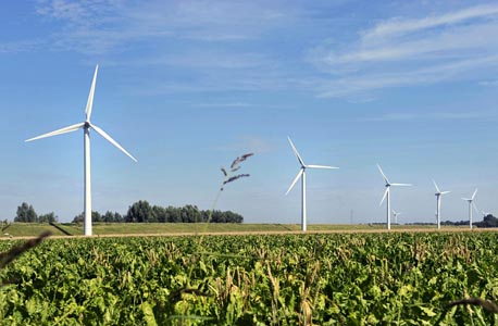 Riesjard Schropp: windenergie Espel
