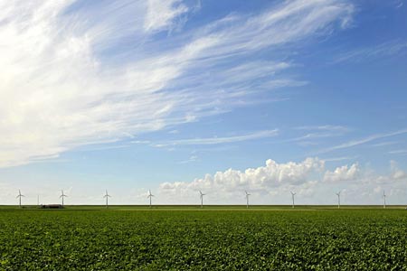 Riesjard Schropp: windpark Espel