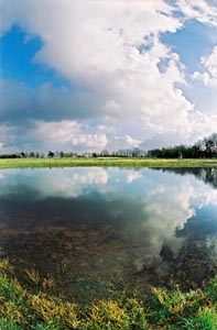 Riesjard Schropp: natuur ontwikkeling landschap water