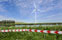 wind_energie_landschap_Almere